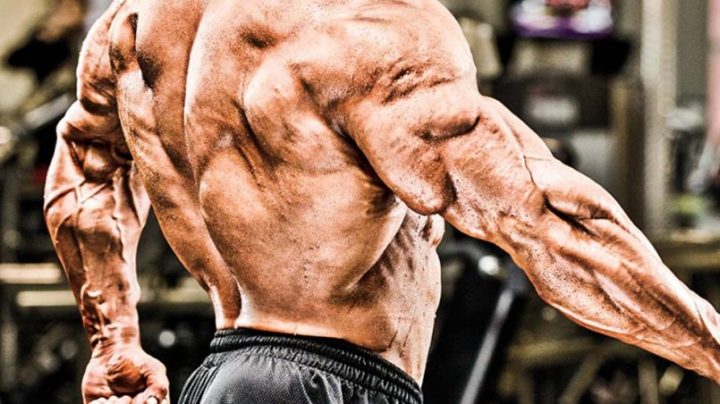 Pssst, A Number Of Myths Associated With Anabolic Steroids Are Being Discussed Here!