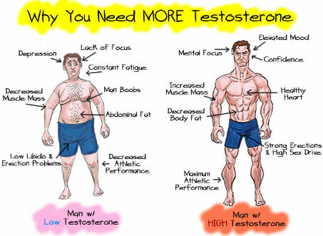 Discover How To Train, eat and take the right supplements to keep testosterone levels high.